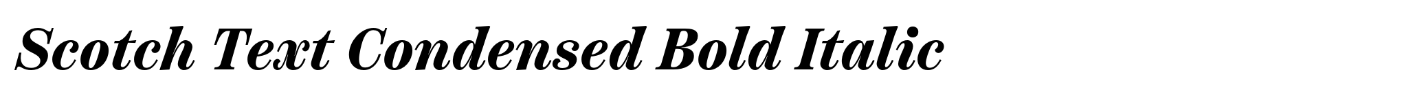 Scotch Text Condensed Bold Italic image